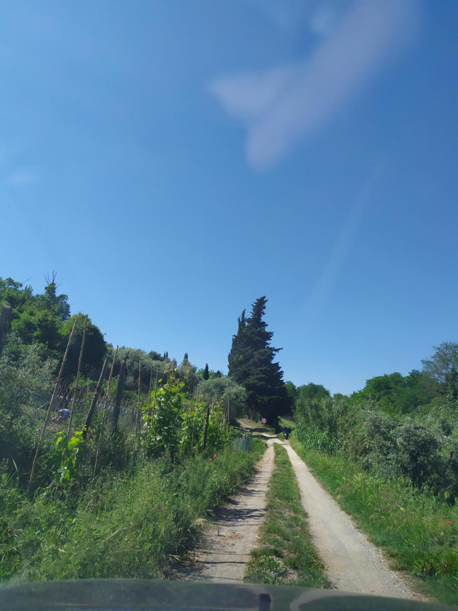 Apartmán Casa Tre Pini Serravalle Pistoiese Exteriér fotografie